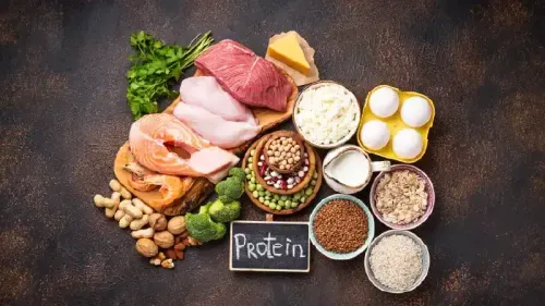 Which Protein is Best for Weight Loss?